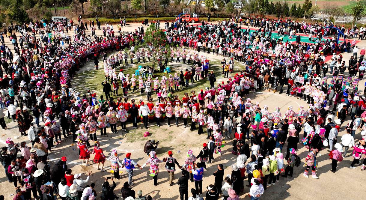 复制图片 复制图片