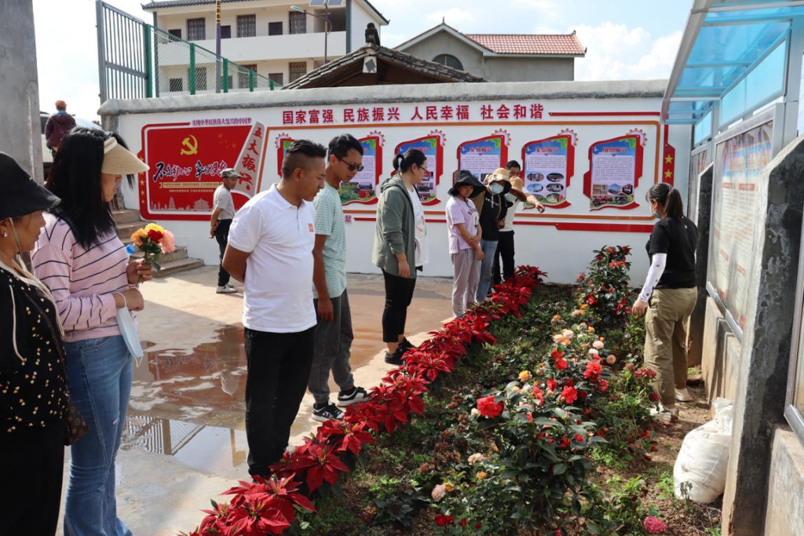 IMG_1187.JPG IMG_1187.JPG