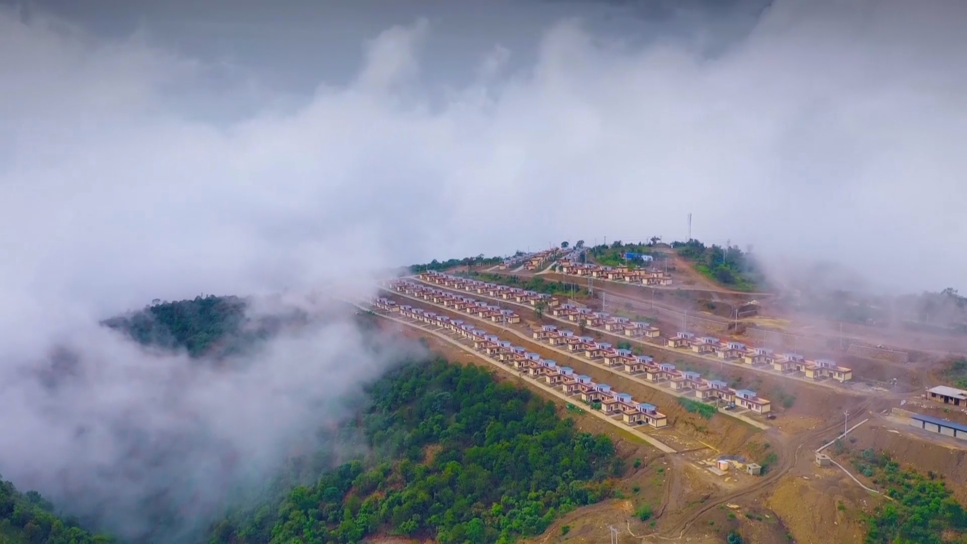 复制图片 复制图片