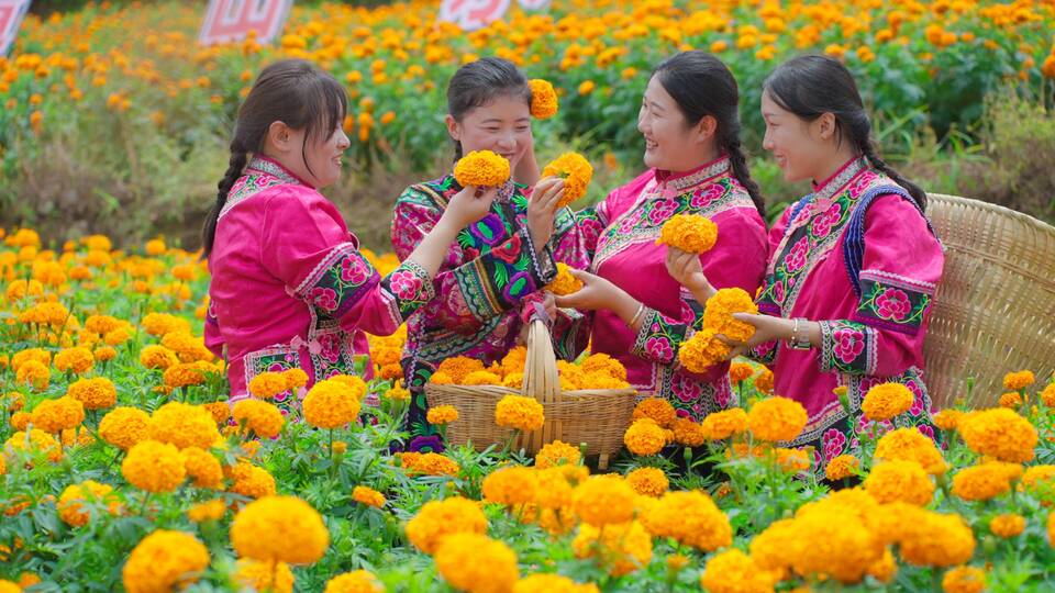 c868a28115b52a3c44ddadefe649295.jpg c868a28115b52a3c44ddadefe649295.jpg