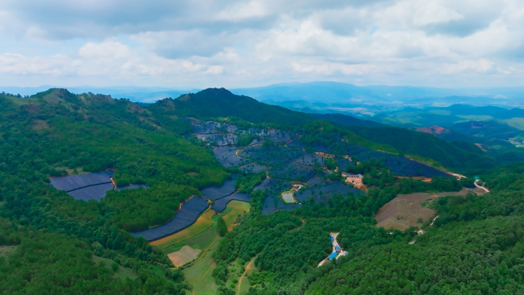 4.林下光伏照前程。武学成摄.jpg 4.林下光伏照前程。武学成摄.jpg