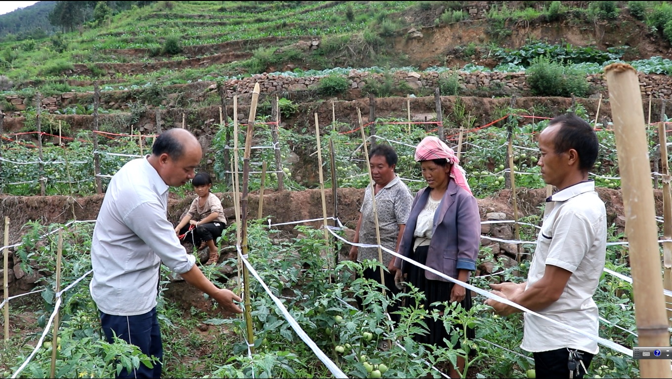 paperMaterial_img paperMaterial_img