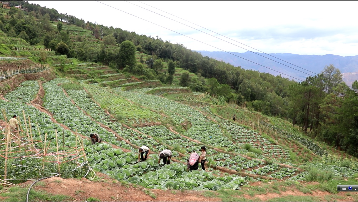 paperMaterial_img paperMaterial_img