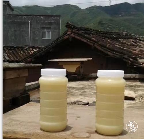 binary_middle (2).jpg binary_middle (2).jpg