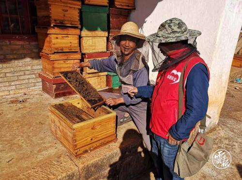 binary_middle.jpg binary_middle.jpg