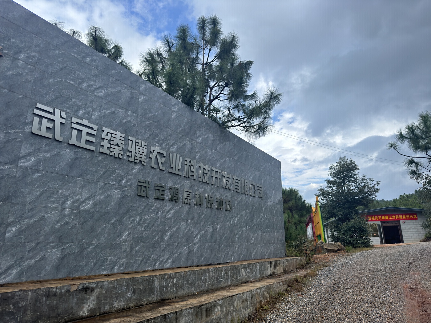 复制图片 复制图片