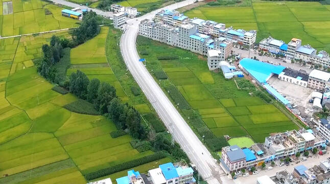 复制图片