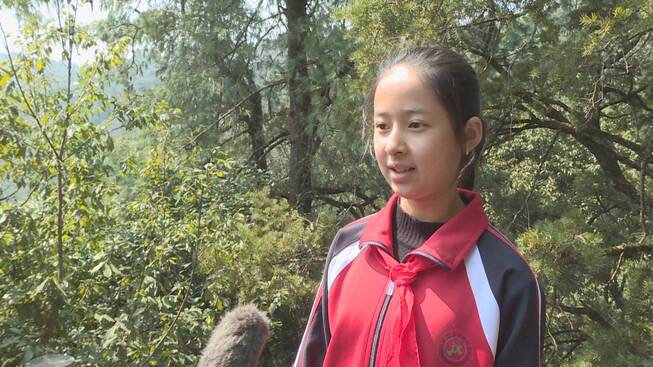 小学 杨纯钧.jpg