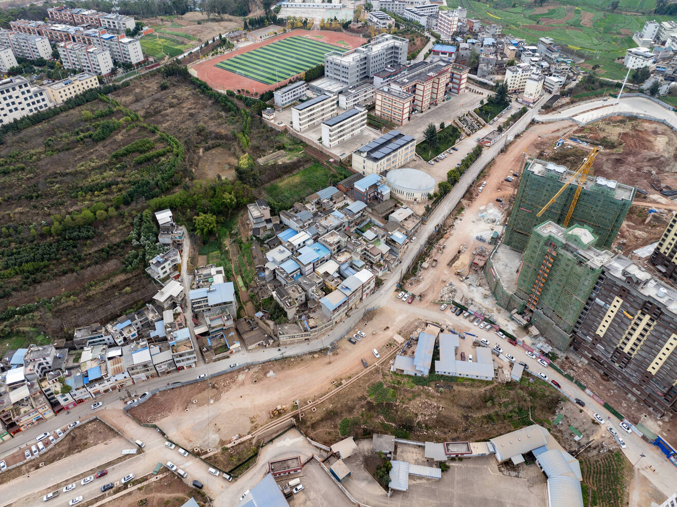 复制图片 复制图片