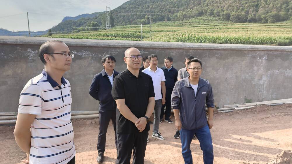 复制图片 复制图片