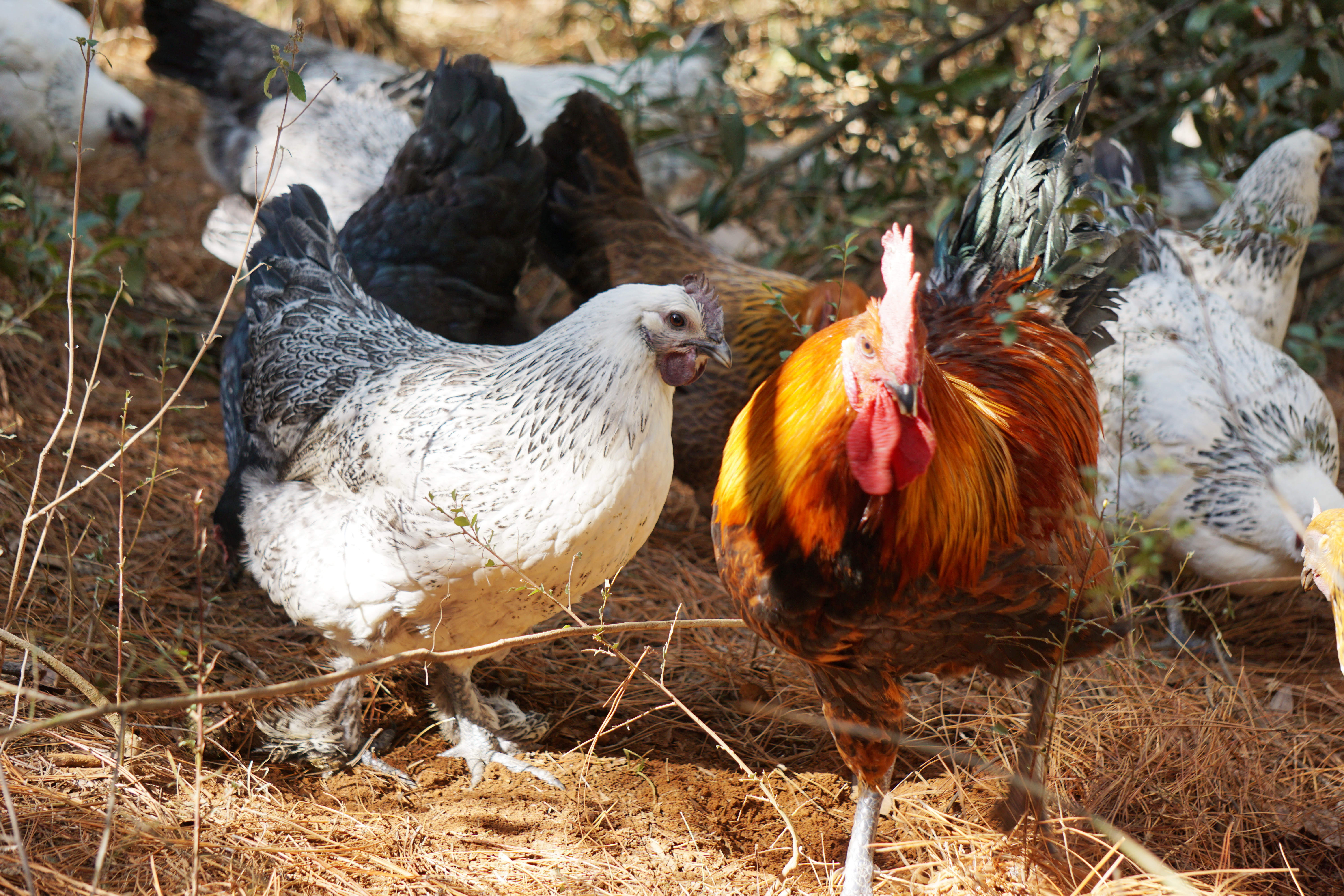 微信图片_20240929145832.jpg 微信图片_20240929145832.jpg