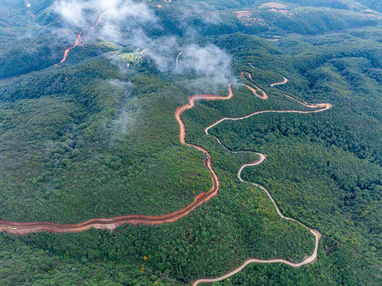 复制图片 复制图片