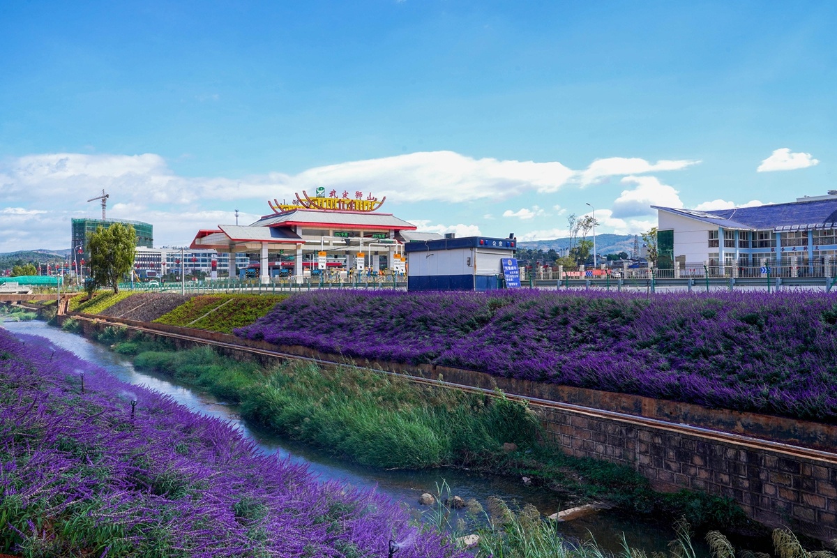 复制图片 复制图片