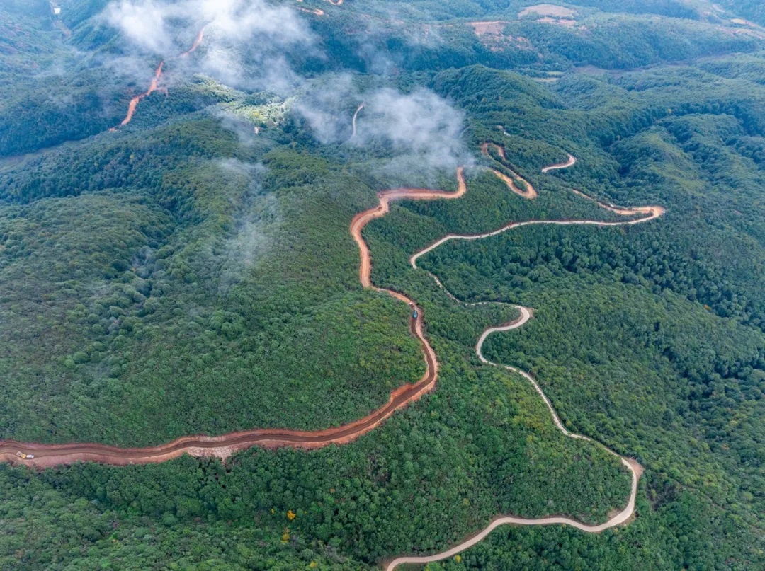 复制图片 复制图片