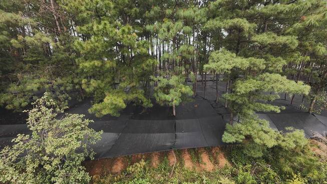 大坪子基地2.jpg 大坪子基地2.jpg