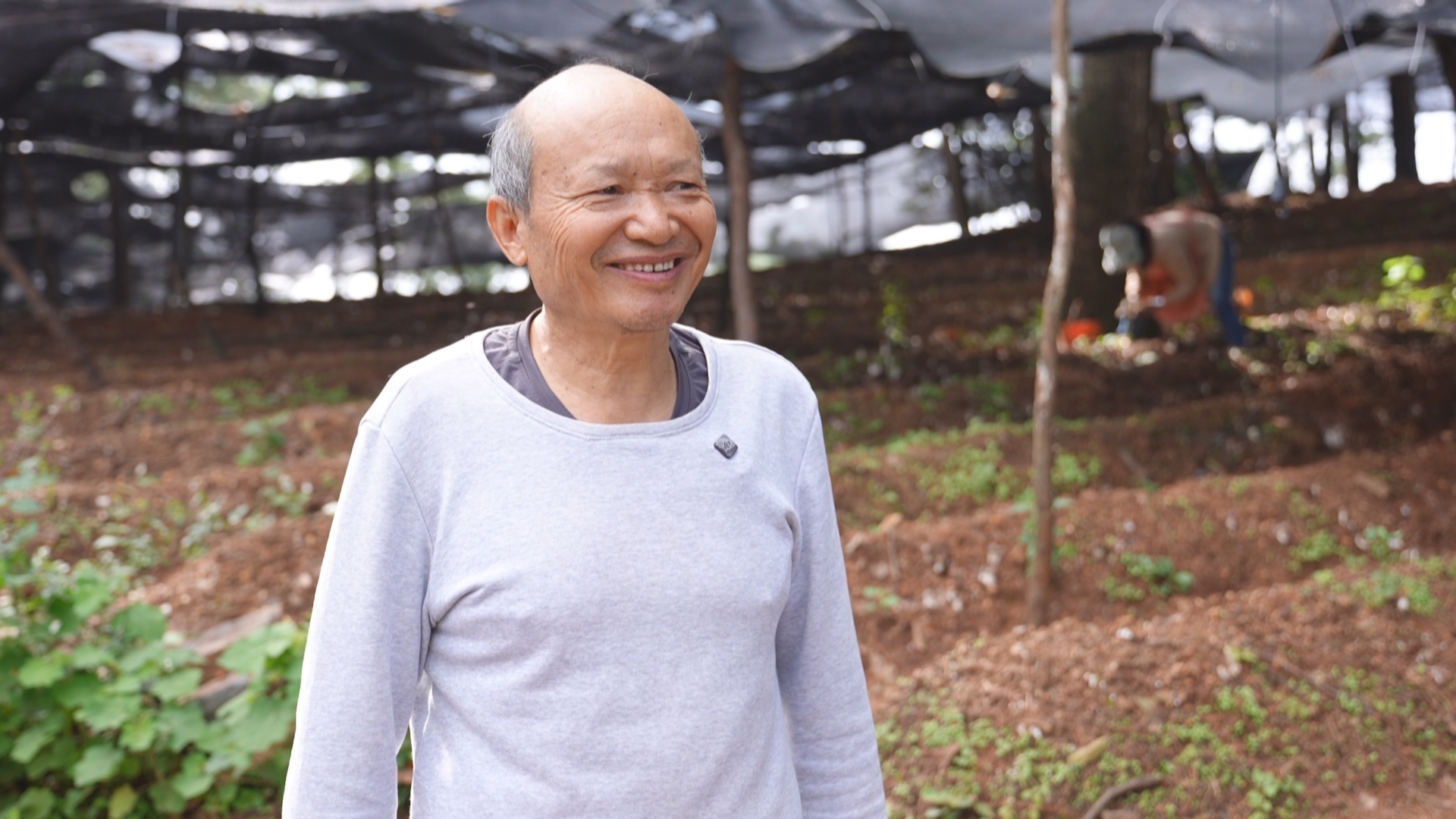 复制图片 复制图片