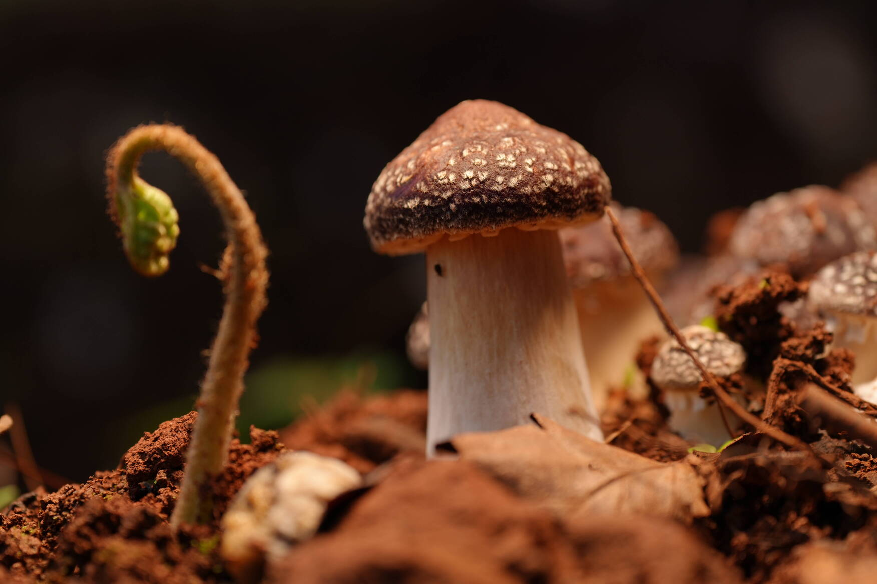 DSC03965.JPG DSC03965.JPG