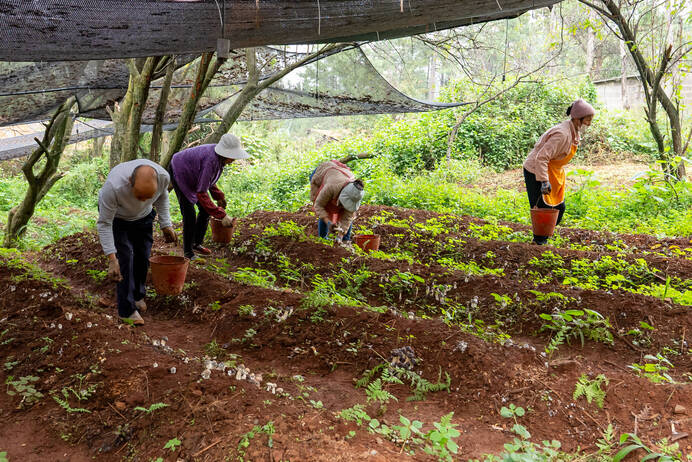 大坪子基地4.jpg 大坪子基地4.jpg