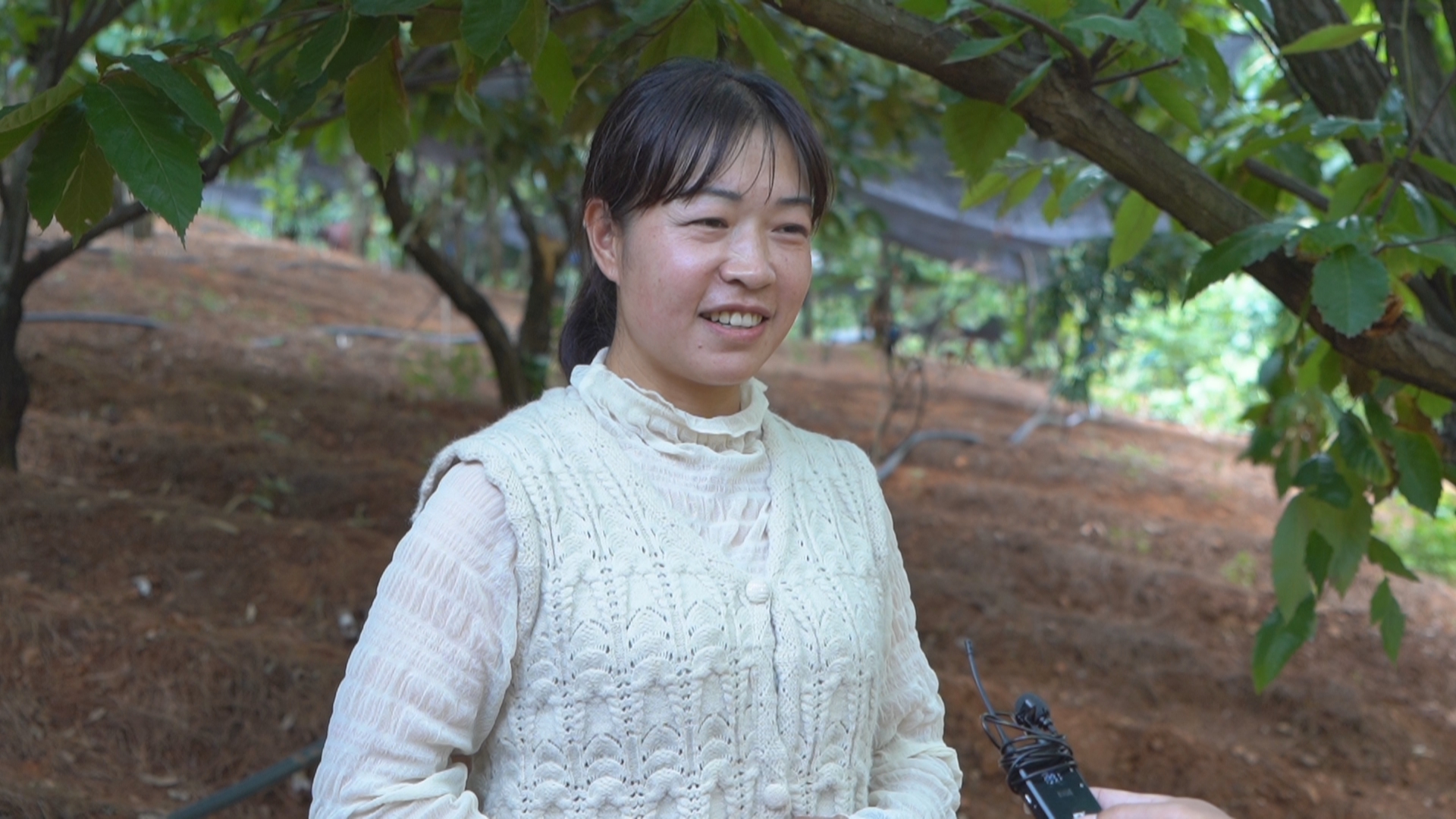 复制图片 复制图片