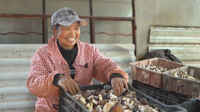 廖忠美.jpg 廖忠美.jpg